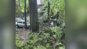 VIDEO Sinaia, măturată de o furtuna apocaliptică. Oamenii nu au mai văzut acest fenomen până acum